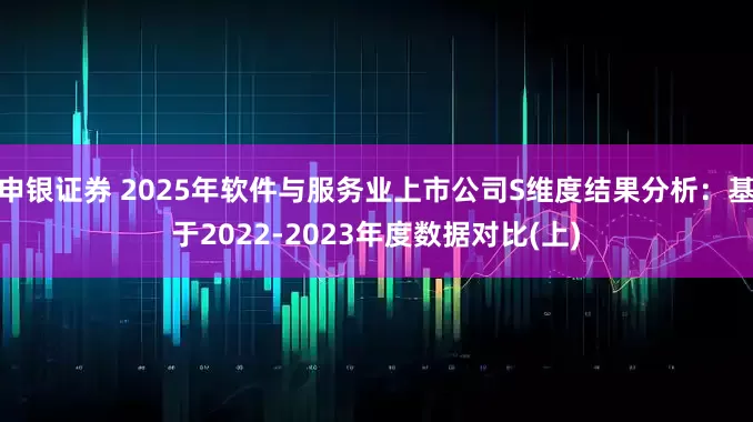 申银证券 2025年软件与服务业上市公司S维度结果分析：基于2022-2023年度数据对比(上)